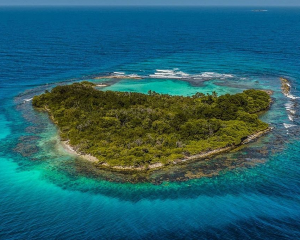 IMG-MORROCOY_Mesa-de-trabajo-1