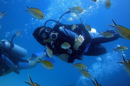 playa noronki playa noronki